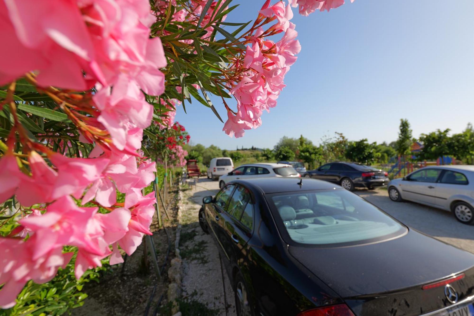 Mesopotam Agrotourism Resort Sarandë Exterior foto